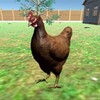 D Video